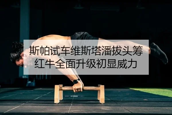 si-pa-shi-che-wei-si-ta-pan-ba-tou-chou-hong-niu-quan-mian-sheng-ji-chu-xian-wei-li-2-189.jpg